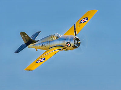 Grumman F4F Wildcat - Richard Greetson