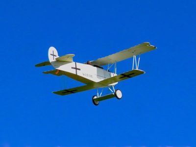Fokker D.VII - Lane Crabtree