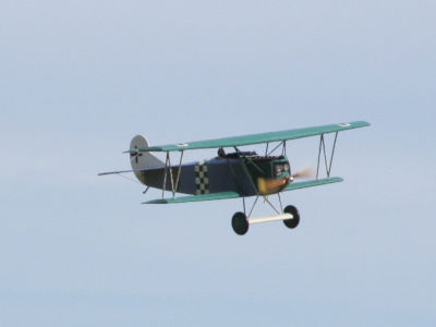 Fokker D.VII - Steve Ort